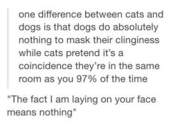 srsfunny: Big Difference Between Cats And Dogs