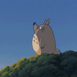 oh-totoro: トトロ · Totoro  