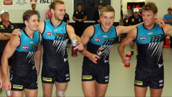 roscoe66:Port Adelaide hotties in the sheds after the match