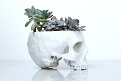 sosuperawesome: Skull Planters by Happy Planters on Etsy  See