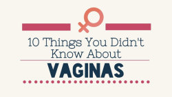 insidiousmuse:  susubeann:  Interesting  The magical Vagina!