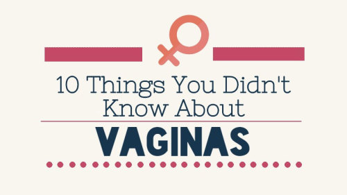 mondodinerd:  L’utile infografica del giorno: 10 cose che non sapevamo sulla vagina. voxamberlynn:  SWORD HOLDER!   VAGINAS and SHARKS