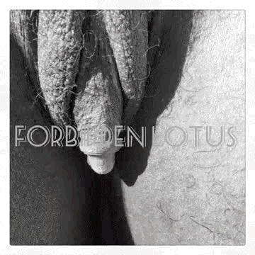 forbiddenlotus:  My clit is on a whole other level…..forbiddenlotus.com….cum indulge ur erotic big clit desires with me…  It’s worth every penny…