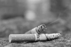 morphine-and-cigarettes:  sad black and white blog, I follow