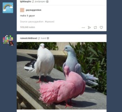 everhappening:  my dash did a thing 