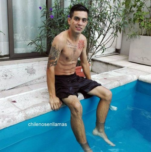 chilenosenllamas:  Wladimir, 20 años de Santiago. vuelve este machito con verga deliciosa!Mira su video aquí:http://chilenosenllamas.tumblr.com/post/144282675591/vídeo-de-wladimir-20-años-haciéndose-una