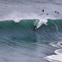 Surf Life