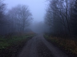 deer-ful:  it was very foggy that day… 