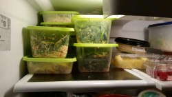 Week 2 of meal prepping all ready to go!   I made salads for