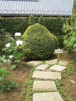 coolstoryfuckface:  My Neighbor Totoro garden in Japan! source