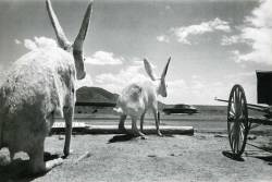 Ernst Haas - New Mexico, 1952.