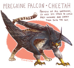 roachpatrol:  iguanamouth:  kept getting requests for gryphons