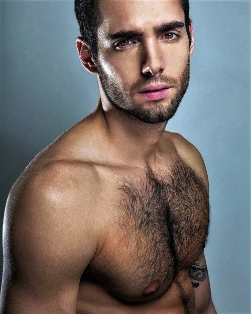 ladnkilt: THE MALE THORAX SETTY (Latin: Male Chest Hair)… 