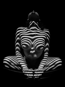 oxirane:hapticperceptions:  1152 Nude Woman Zebra Stripe Series