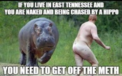 looneyasatoon:  I’ve noticed that the hippo is naked too. 