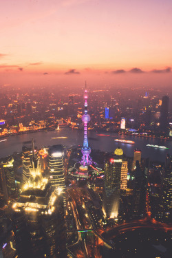 orgvnized:  SUNSET PUDONG  - (ᴏʀɢᴠɴᴢᴅ)  