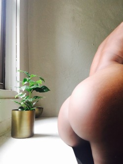 floozyfumes: The mothers of nature. A black woman and a plant.