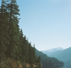 cosmic-child:  filson:  “All the wild world is beautiful,