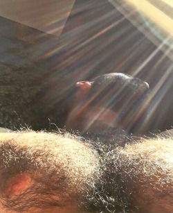 thehairyhunk:Featuring @pamitove | By @thehairyhunk | #thehairyhunk