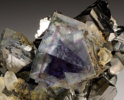 geologypage:  Fluorite with Arsenopyrite, Quartz | #Geology #GeologyPage