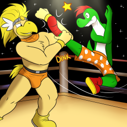 Rawk Hawk vs Yoshi Kid