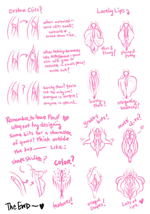 sometimessmuthappens:  Don’t normally respond to asks like this but thought I could be of some help! A possibly helpful illustrated guide to drawing vaginas. Hopefully my writing is sorta legible @___@;;; didn’t think that part through till the end.