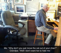 phantomshaman:  The story of any cat owner’s life…  Uh yeah.