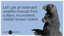 Yeah, that makes sense &hellip; :)  Happy Groundhog Day!  (: