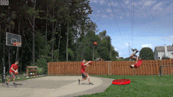 peterfromtexas:  Boing…Boing… via