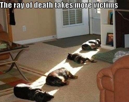 Sunbeam crime scene