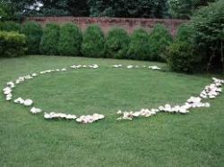 sixpenceee:  FAIRY RINGS Fairy rings/circle are a naturally occurring