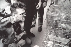 death-of-a-discodancer: Morrissey looking at chipmunks, Tokyo,