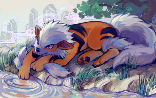 zephyrine-gale:pieces I drew for pokemon tcg contest!! the arcanine