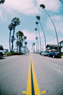 sassafranski:  Oceanside Instagram: @sassafranski 