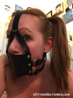 kittydenied:This one has a good sized ball gag on the inside,