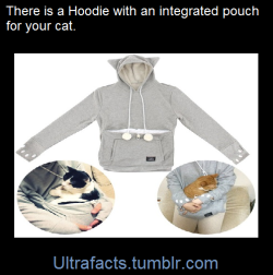 ultrafacts:    The Mewgaroo Hoodie is a hoodie with a giant