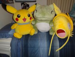 pacificpikachu:I believe these three are the biggest plush in