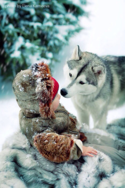 We Heart It の Wolf Pup 