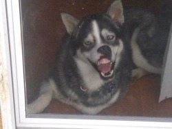 latestfunnystuff:  Funny Stuff | http://bit.ly/RzZBDG