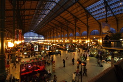 myshadowfledonorleansavenue:  Gare du Nord terminal. Paris, France. 