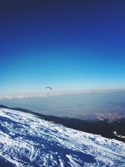 danielodowd:  bentopliss