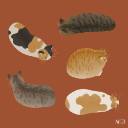 mijileeillust:Cat Slug