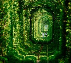 Tunnel of love? :) ~XOXO Selena Kitt~