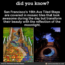 did-you-kno:  San Francisco’s 16th Ave Tiled Steps  are covered