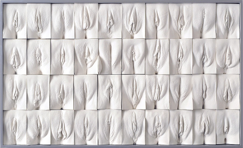 rikkisixx:  The Great Wall of Vagina - Jamie McCartney (x) Jamie made molds of the vaginas of women between 18 and 76 years. Among others, they include twins and transgender women. Women are often confused about their vagina, because they think it looks