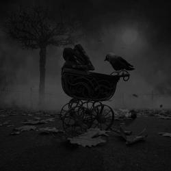 macr00314:  EvilBird | via Facebook on We Heart It. http://weheartit.com/entry/60004143/via/RobsonTavs