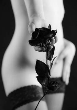 firstloveisforeverremembered: Black Rose