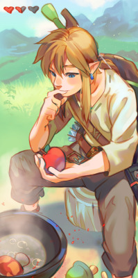 uzucake:I recently got Breath of the Wild! ..I wanted to spend