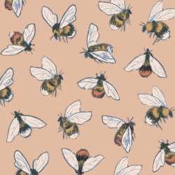 catherinepapeillustration:  More bees.