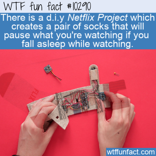 wtf-fun-factss:   There is a d.i.y Netflix Project which creates